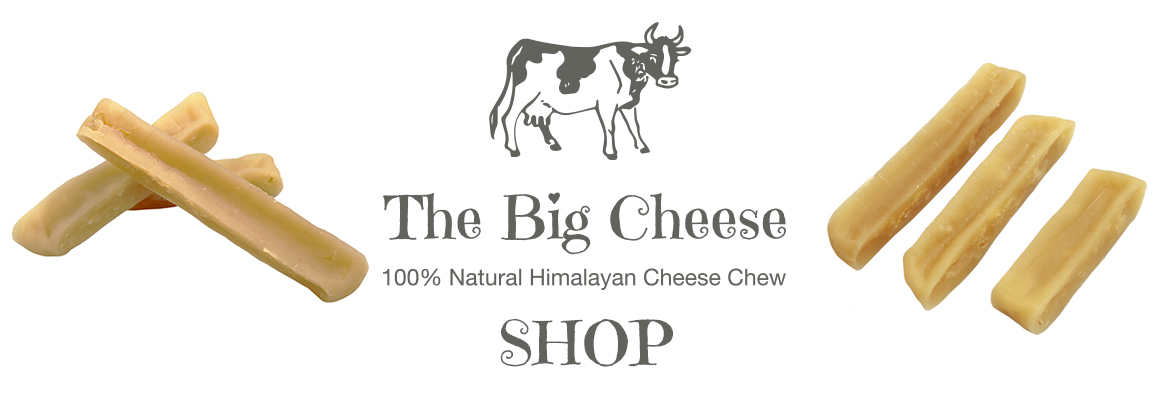The Big Cheese Shop