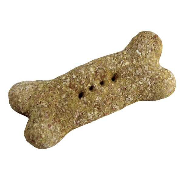 Carrot_&_Coriander_3